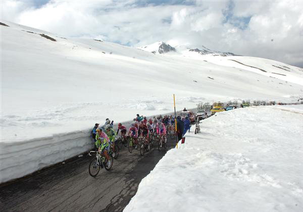 The bunch ascends the gavia pass in 2010