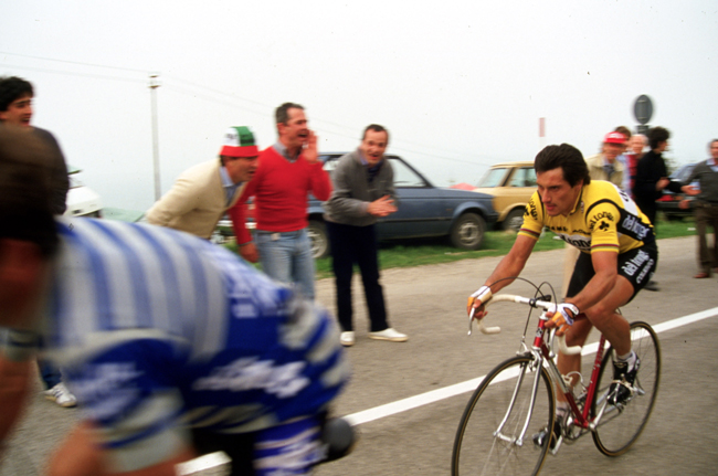 Saronni in the 1984 Giro d'Italia