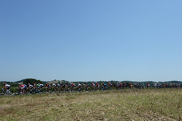 Peloton